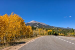 a road with a mountain in the background