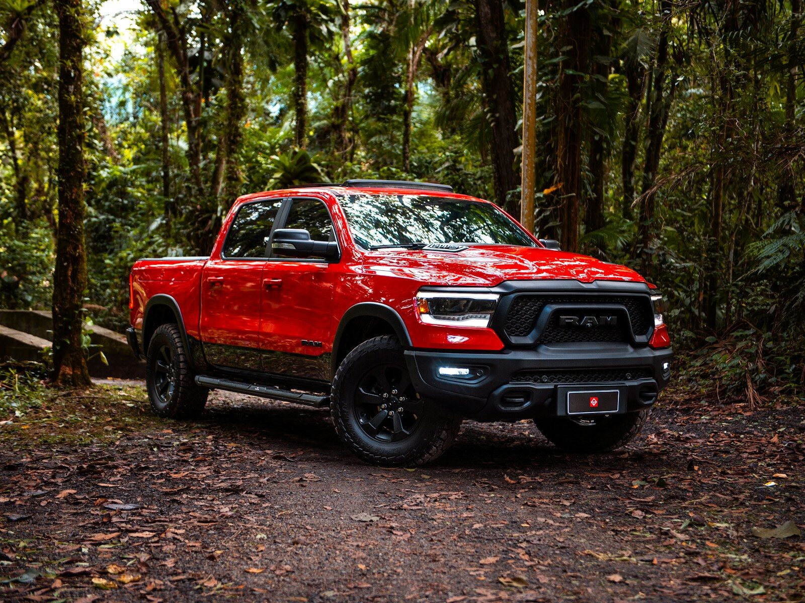 Red truck is parked in a forest.