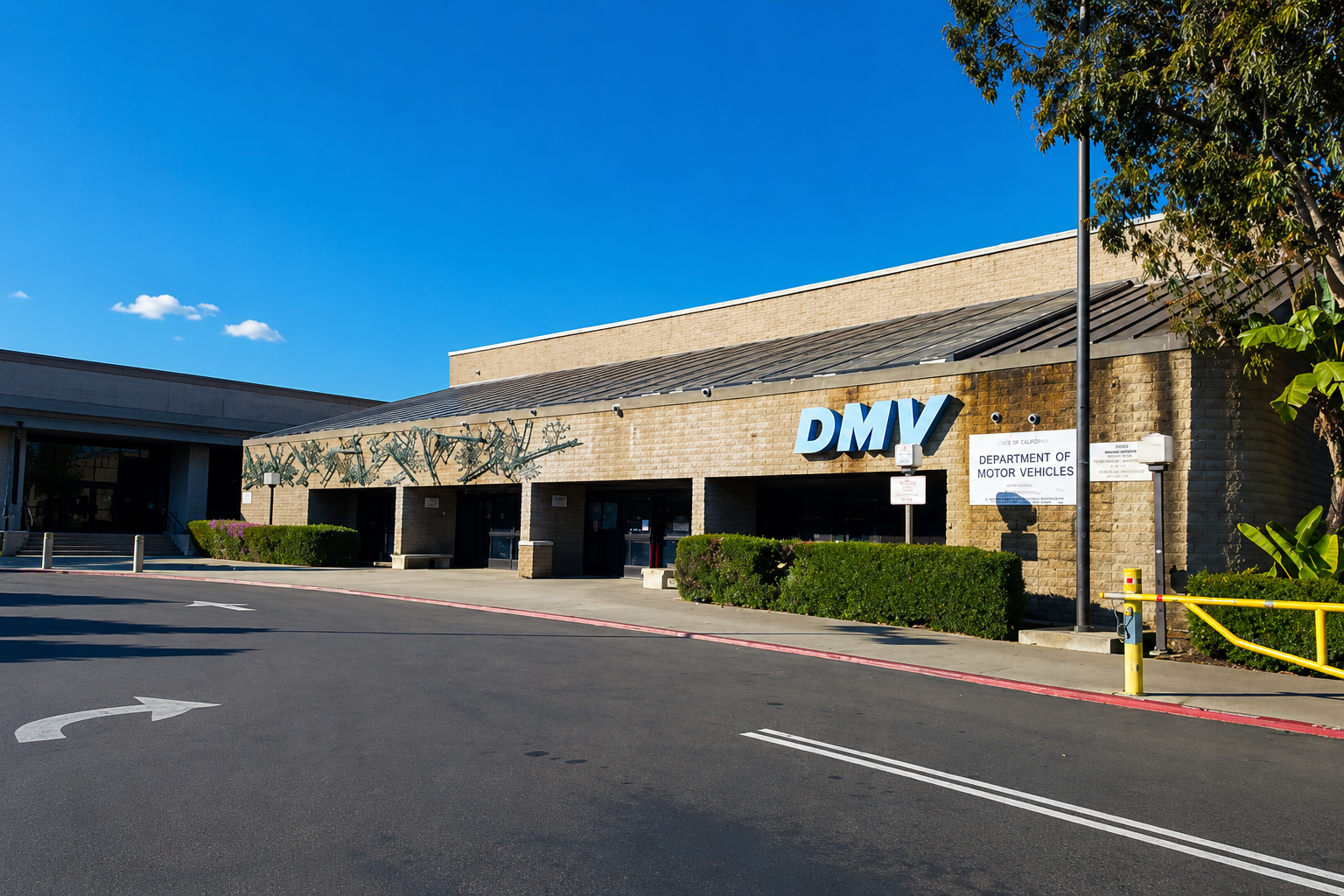 Massive Cheating Scandal Forces 11,000 California Drivers to Retake DMV Written Test