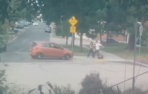 Unhinged Driver Tries to Run Down LA Couple and Their Dog in Shocking Dashcam Video