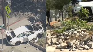 Two Boys Take Parents' Car on a Joyride and Critically Injure Dog Walker in Oakland