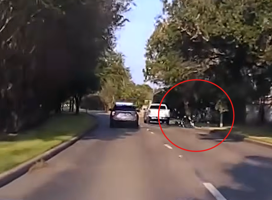 Florida Men Toss $6,000 Out the Window During High-Speed Police Pursuit