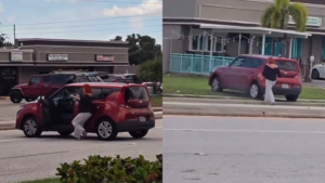 Florida Woman Chases Her Own Slow-Rolling Car Into a Ditch—and a Squirrel Is To Blame